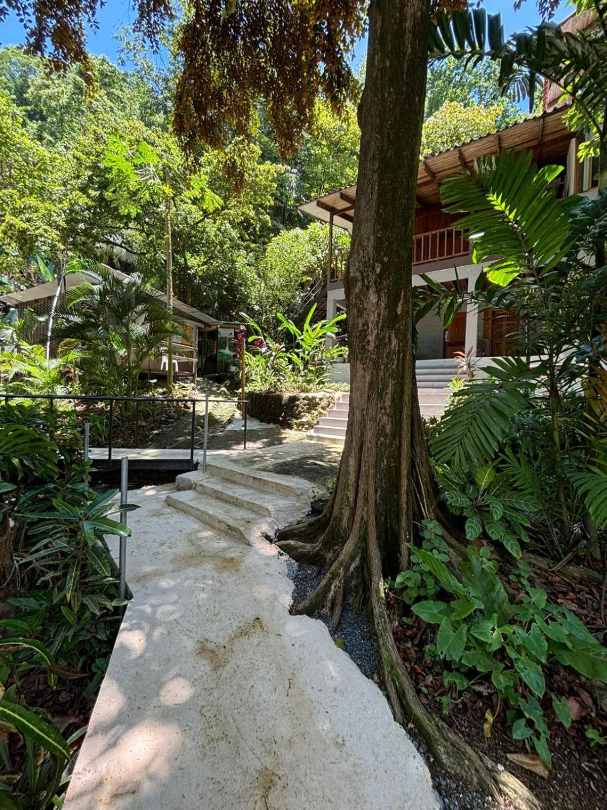 Apartmán Casa Susen Montezuma Exteriér fotografie