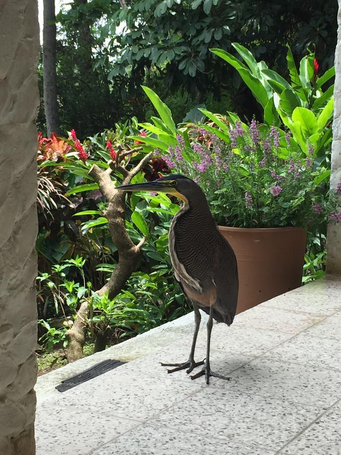 Apartmán Casa Susen Montezuma Exteriér fotografie